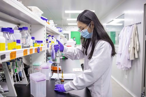 小巨人煉成記 創爾生物如何從研發團隊的六七次“全軍覆沒”中崛起